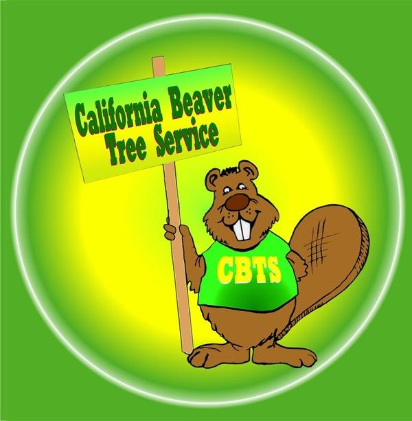 Cal Beaver Tree Service