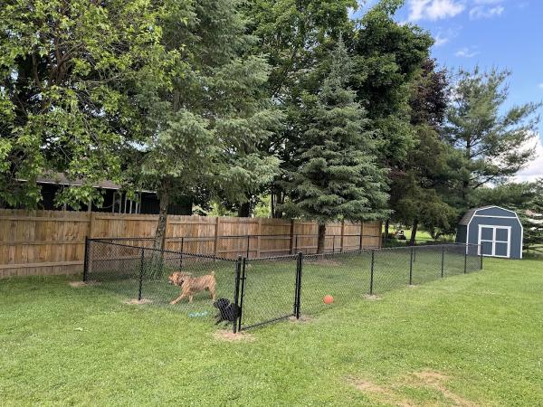 Straight Line Fence