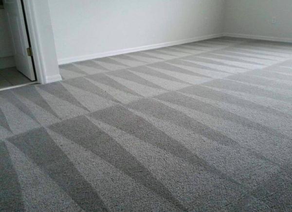 Studio City Carpet Cleaning
