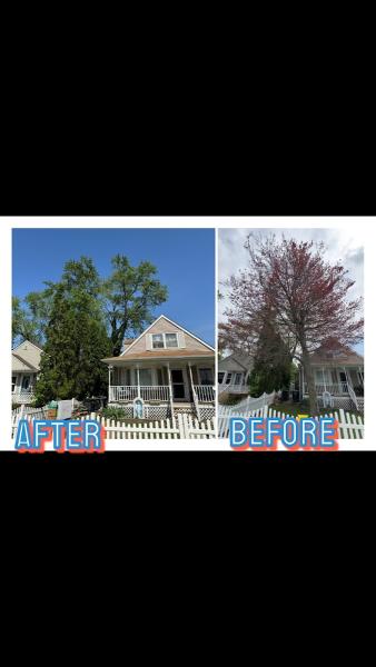 Bryan's Tree Service
