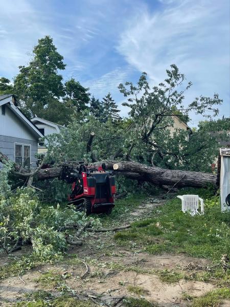 Bryan's Tree Service