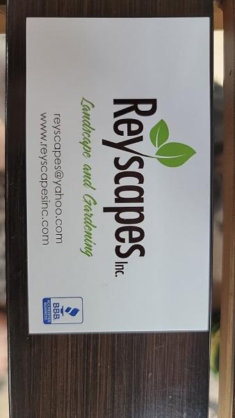 Reyscapes
