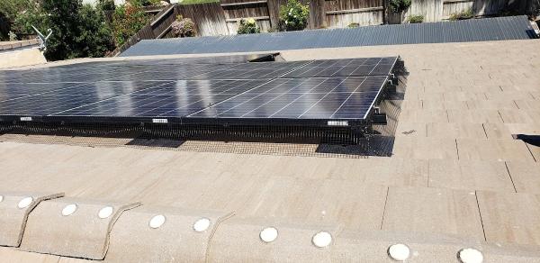 J Bird Abatement & Occlusion Service