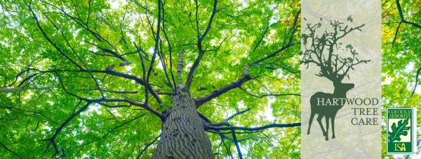 Hartwood Tree Care