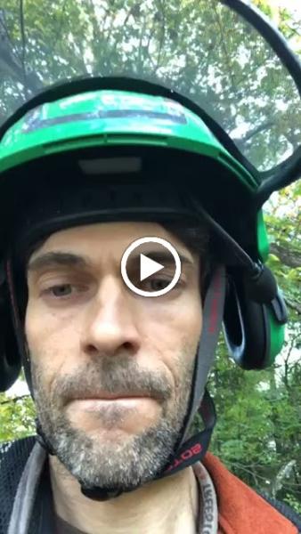 Hartwood Tree Care