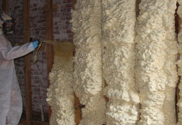 Newmans Spray Foam Pro
