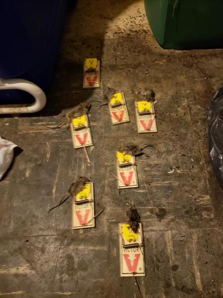 Omega Pest Control LLC