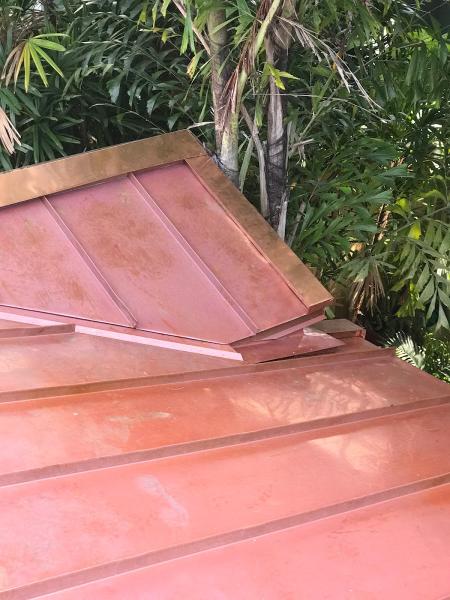 Roofing Reina