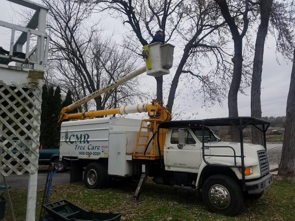 CMR Tree Care