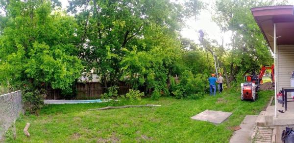 Ford Tree Service/ Texas Tree Trimming and Stump Grinding
