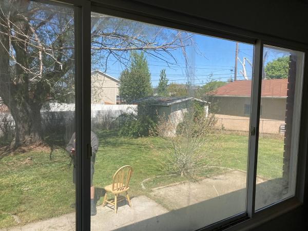 Transparent Windows