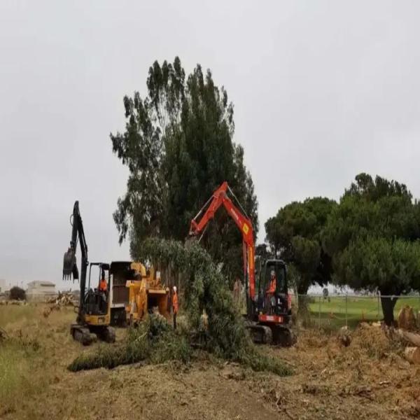 Rodriguez Tree Service LLC