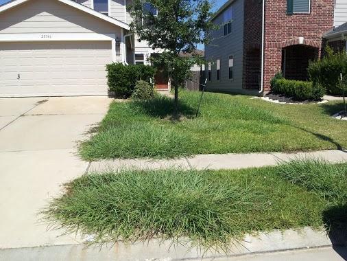 Fairfield Lawn Mowing Service
