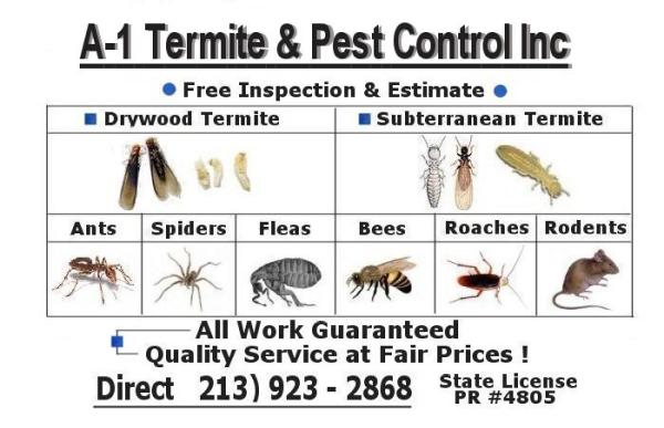 A1 Termite and Pest Control