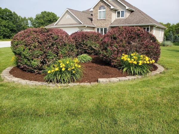 Turf & Tree Worx