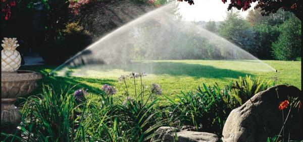Apex Irrigation Sprinkler