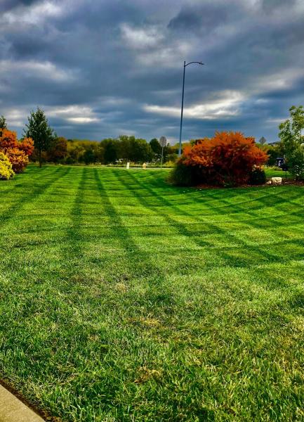 Wellscape Lawn and Snow LLC