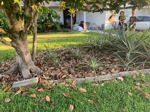 Crowe Bros. Lawn Care