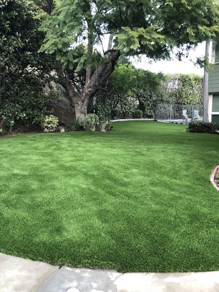 All Season Turf