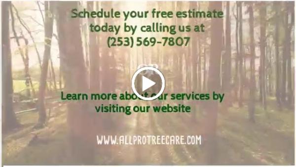 All Pro Tree Care