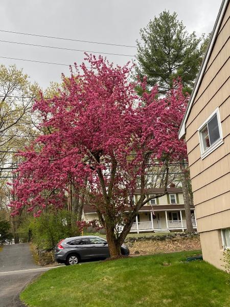 Barrett Tree Service East