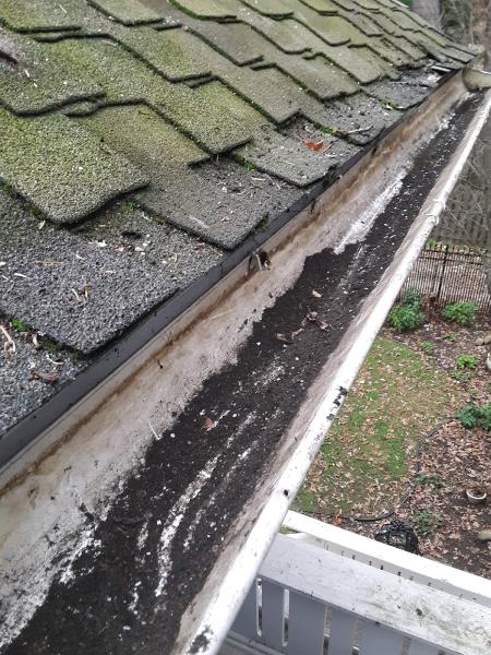 G&S Property Services