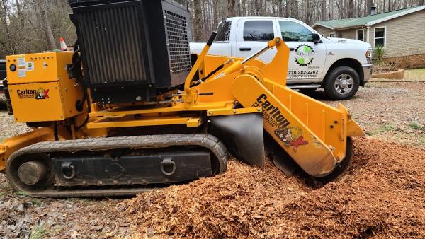 Premiere Stump Grinding