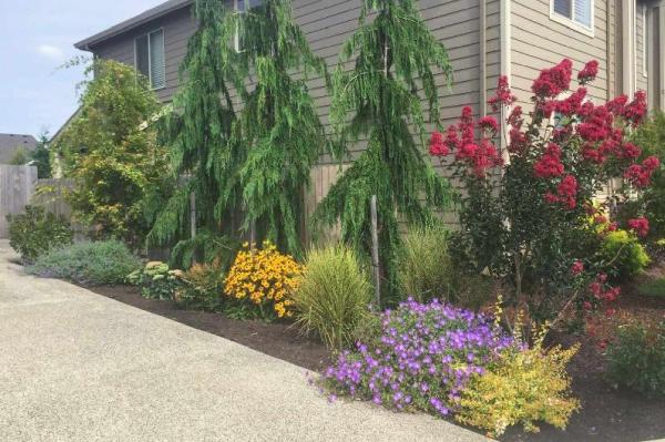 Creekscape Design LLC
