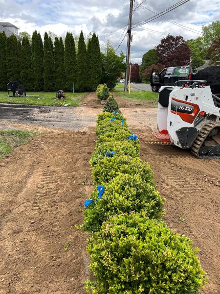 Moyers Landscaping