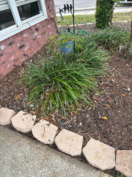 Westcoast Landscape & Lawns