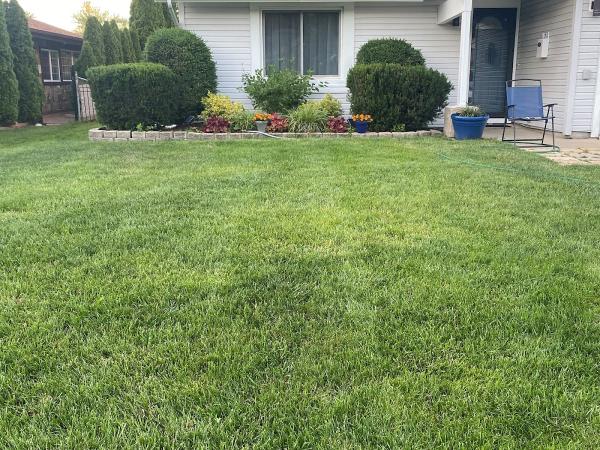Meadows Landscaping & Contracting