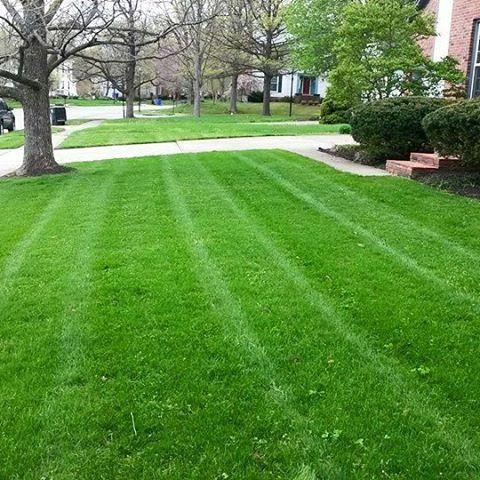 Meadows Landscaping & Contracting