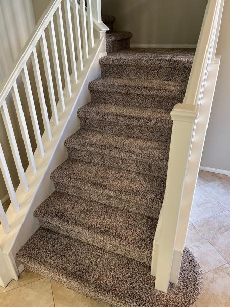 Vegas Carpet Care