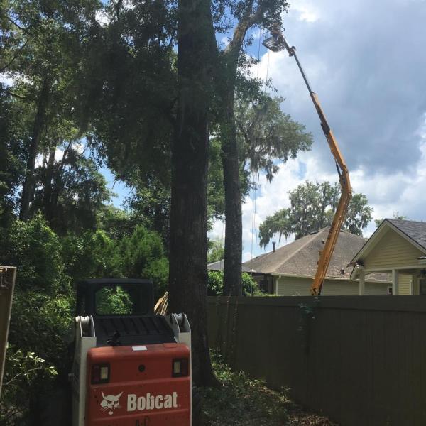A1 Sales & Services Inc. (A-1 Tree Services)
