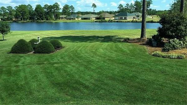 Infinity Lawn Services LLC