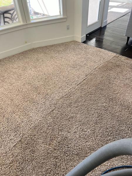 Carpet CPR
