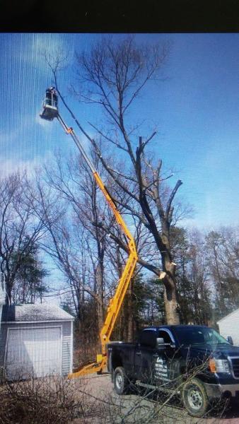 Larry's Tree Removal LLC
