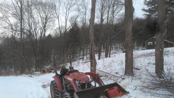 Larry's Tree Removal LLC