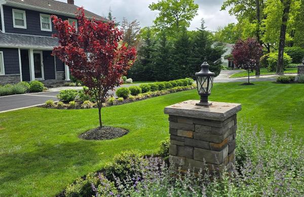 Design and Build Landscape