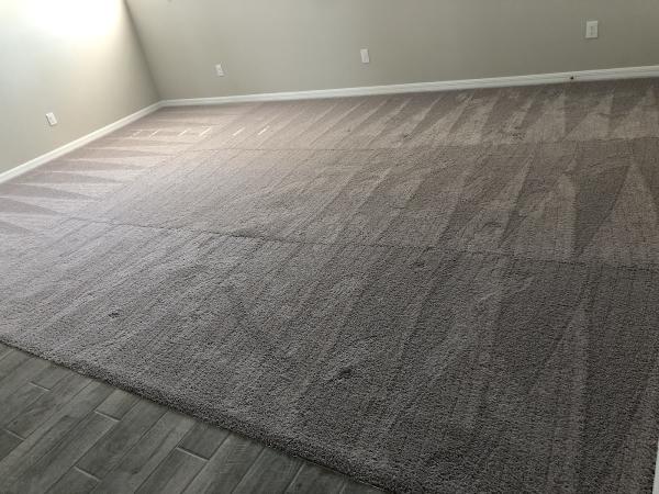 3D Carpet Cleaning and Restoration