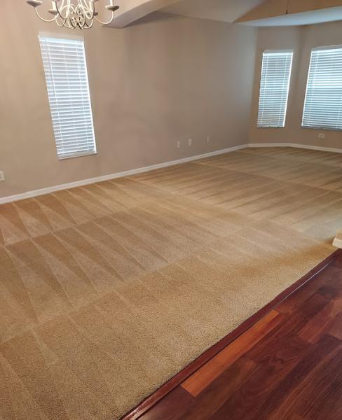 3D Carpet Cleaning and Restoration