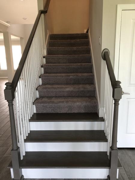 3D Carpet Cleaning and Restoration