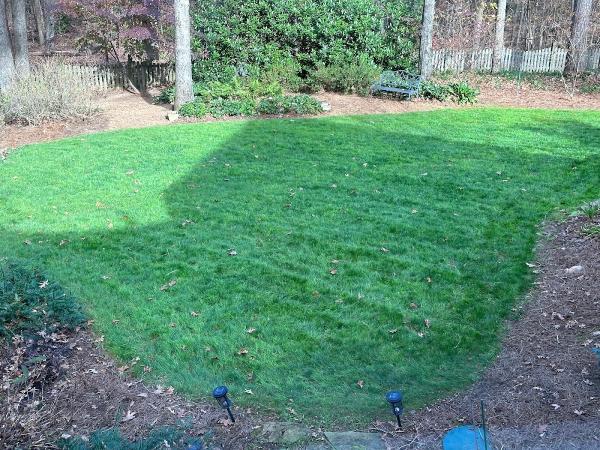 Maple Leaf Lawn Care & Pest Control