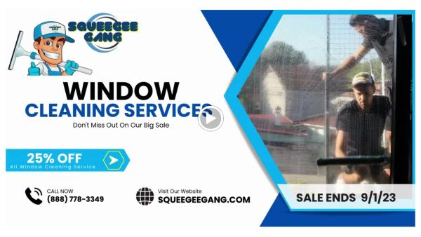 Squeegee Gang