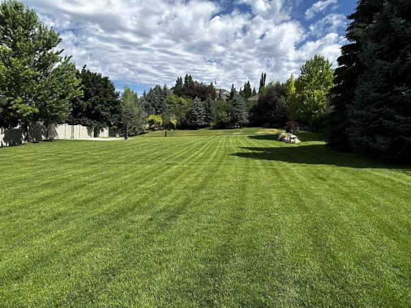 Redstone Property Maintenance & Landscaping