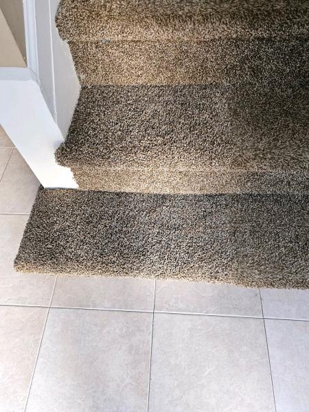 Professional Carpet Systems