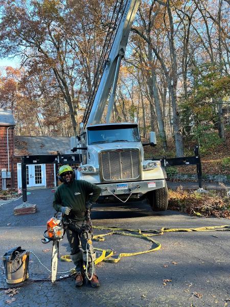 Cruz Tree Services