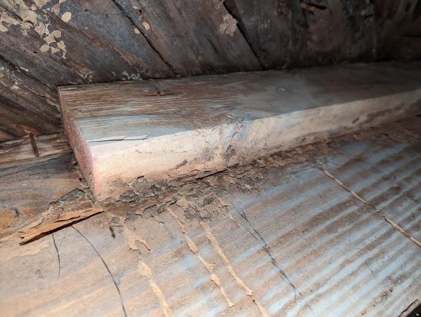 Potomac Pest & Termite Control
