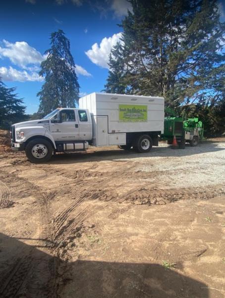 South Bay Tree Care