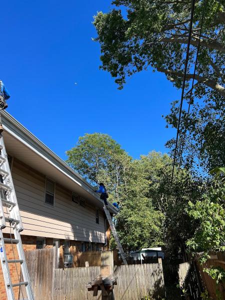 Top Notch Roofing & Exteriors